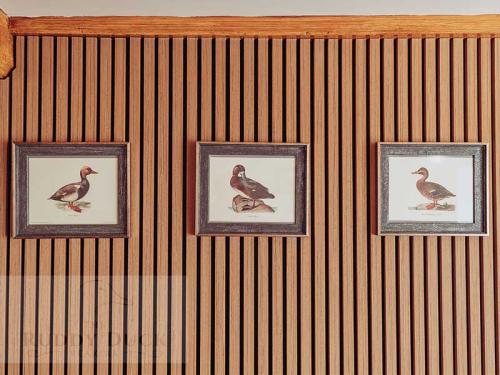 The wall of the ducks nest inside The Ruddy Duck in Peterborough