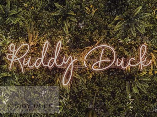 The Ruddy Duck Instagram wall